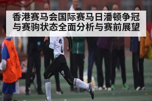 香港赛马会国际赛马日潘顿争冠与赛驹状态全面分析与赛前展望